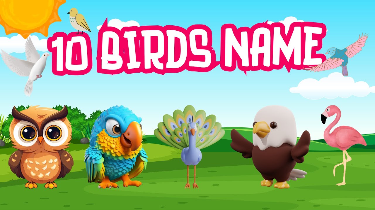 Top 10 Birds for Kids 🐦| Learn Bird Names & Fun Facts, Educational Video for Toddlers & Preschoolers