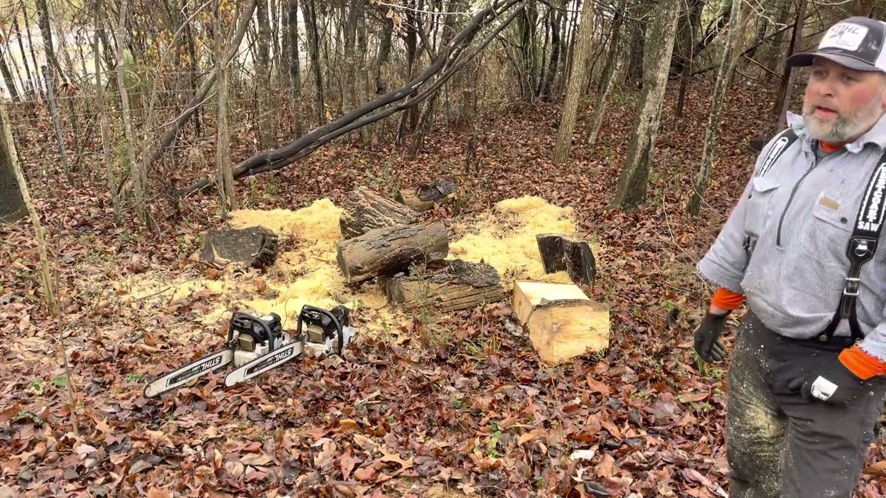 STIHL HEXA vs Holzfforma chain testing with the 400 and 462
