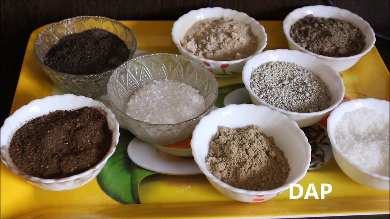 Mixed Fertilizer Recipe for effective growth of Plants (in Hindi)