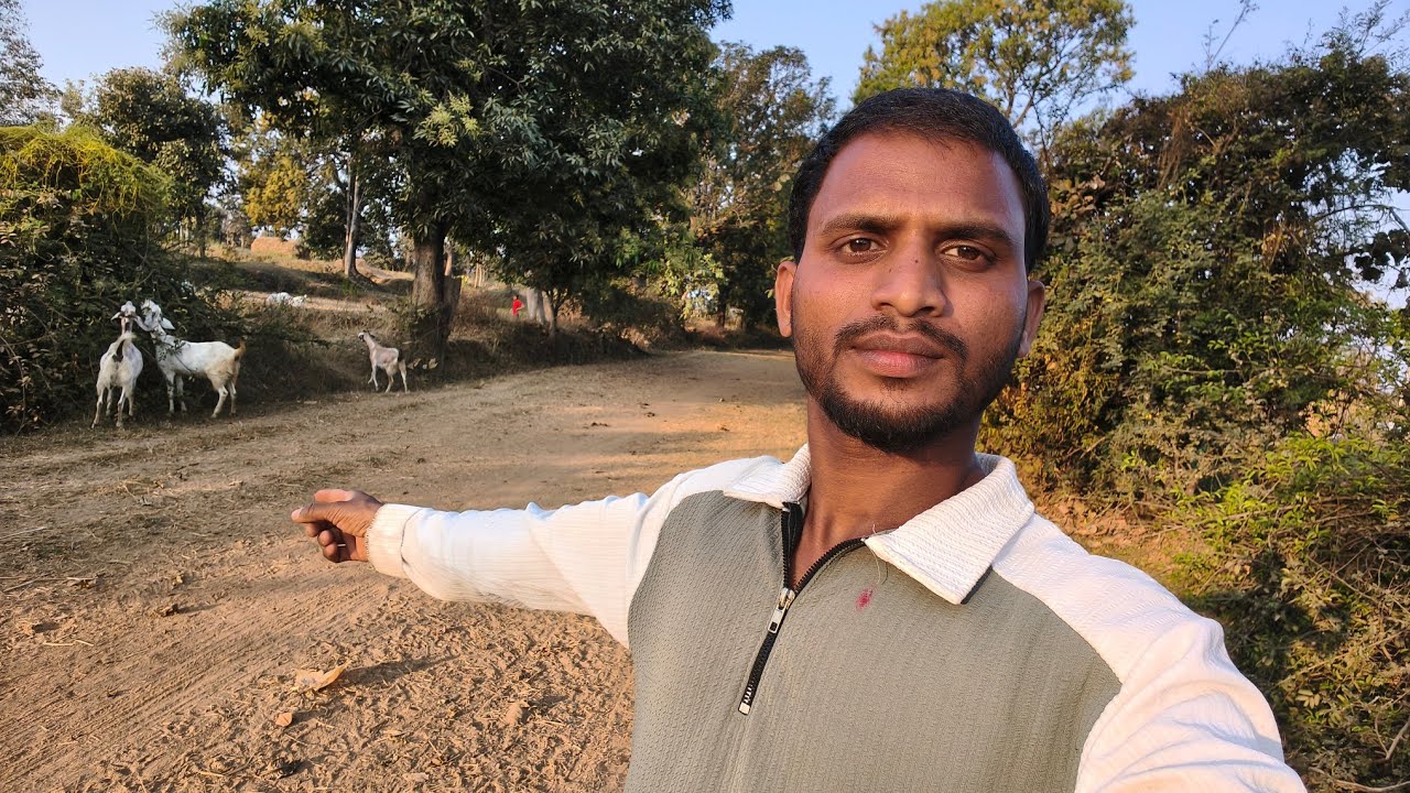 आज मैं बकरी चराने आया हूं 🐏