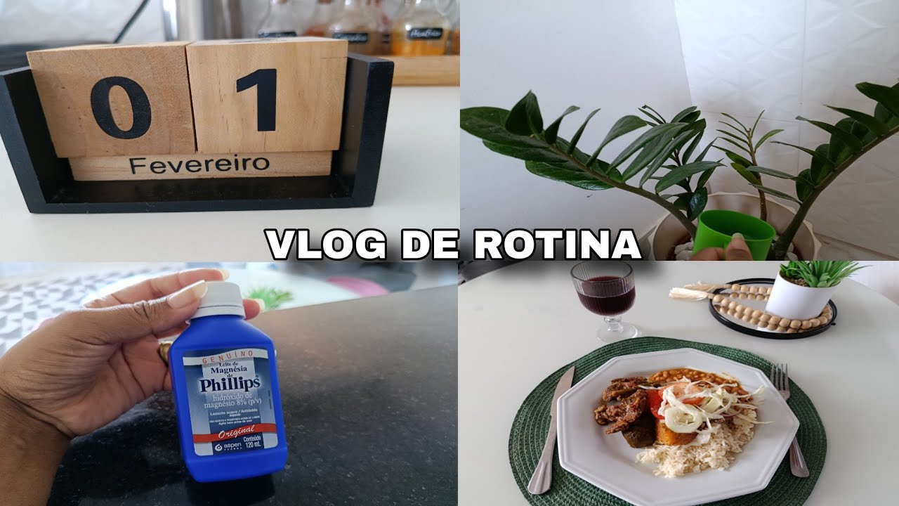 VLOG DE ROTINA| DIA TRANQUILO |SANDRA GUSMÃO 💝 #donadecasa #rotinadodia 