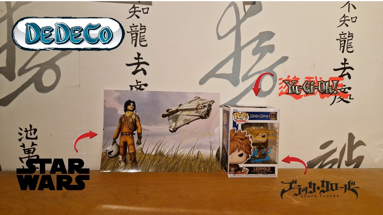 DeDeCo Dresden 2026 AUTOGRAMM HAUL & REVIEW!