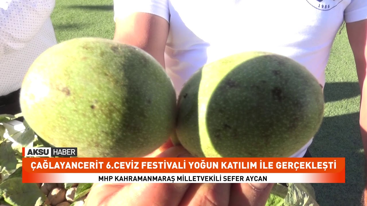 Çağlayancerit 6.Ceviz Festivali Yoğun Katılım İle Gerçekleşti.
