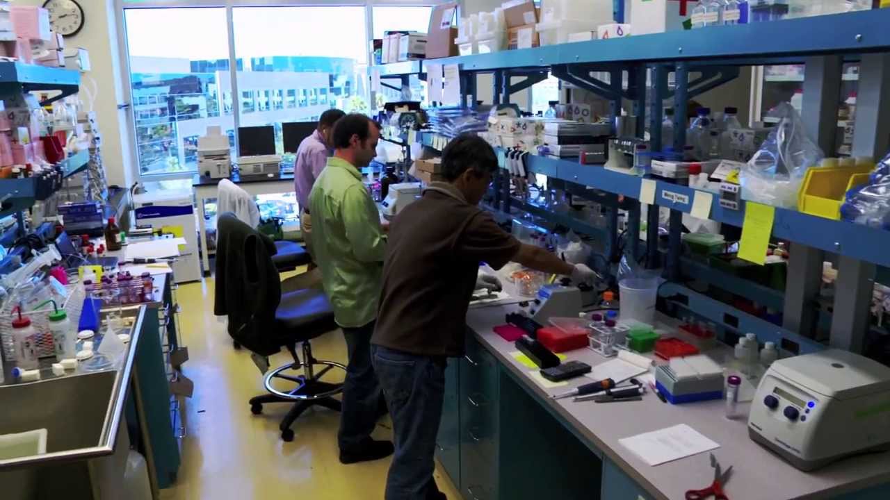 ION Torrent: The Work