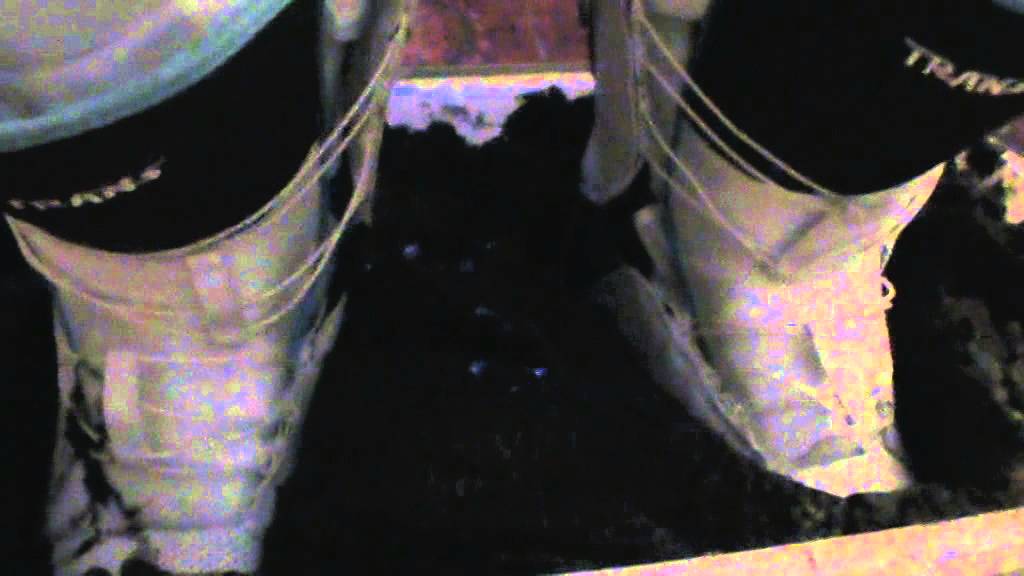 Trans softboots muddy