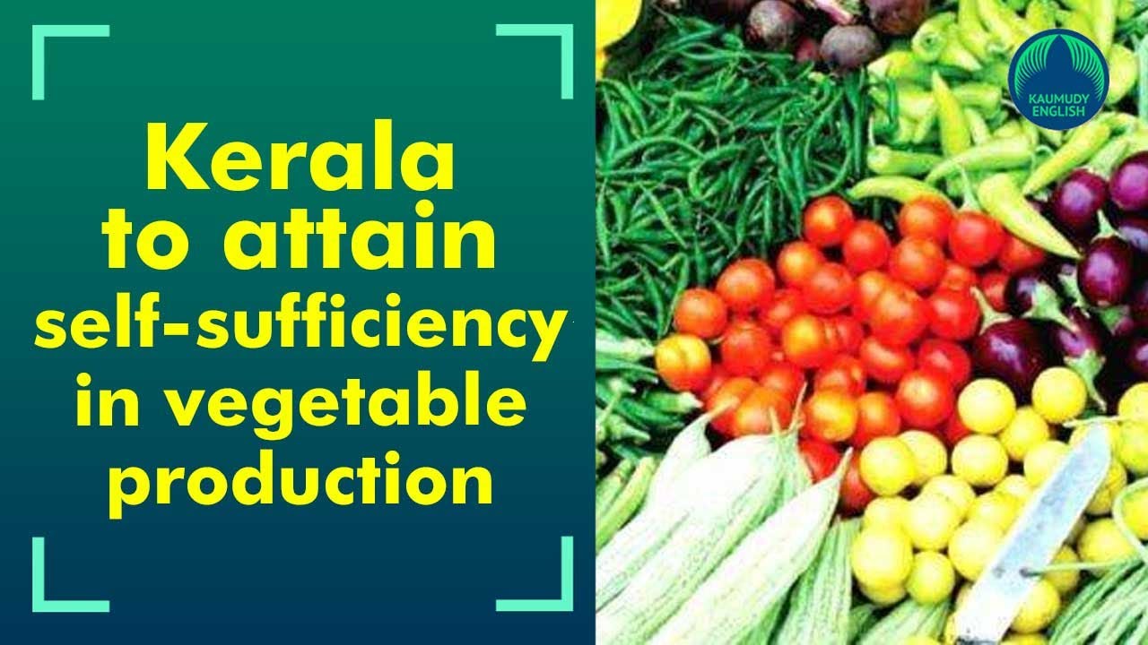 Government projects improve vegetable production; still prices are not falling…