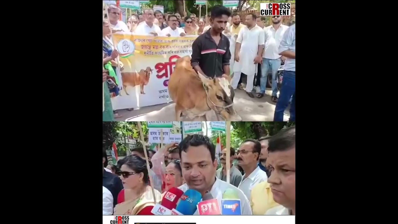 গৰু সন্মুখত লৈ মন্ত্ৰী জয়ন্ত মল্লবৰুৱাৰ বিৰুদ্ধে নগাঁৱত কংগ্ৰেছৰ প্ৰতিবাদ