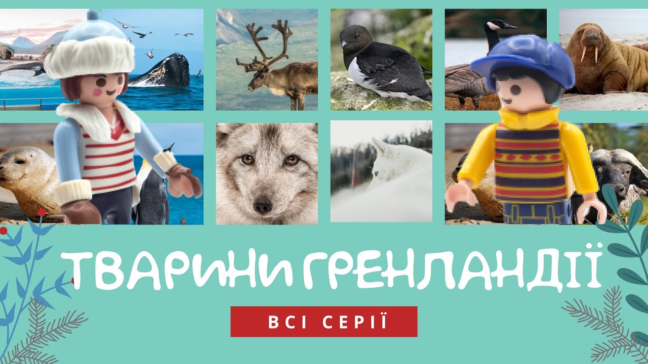 Тварини Гренландії: всі серії | Комарко