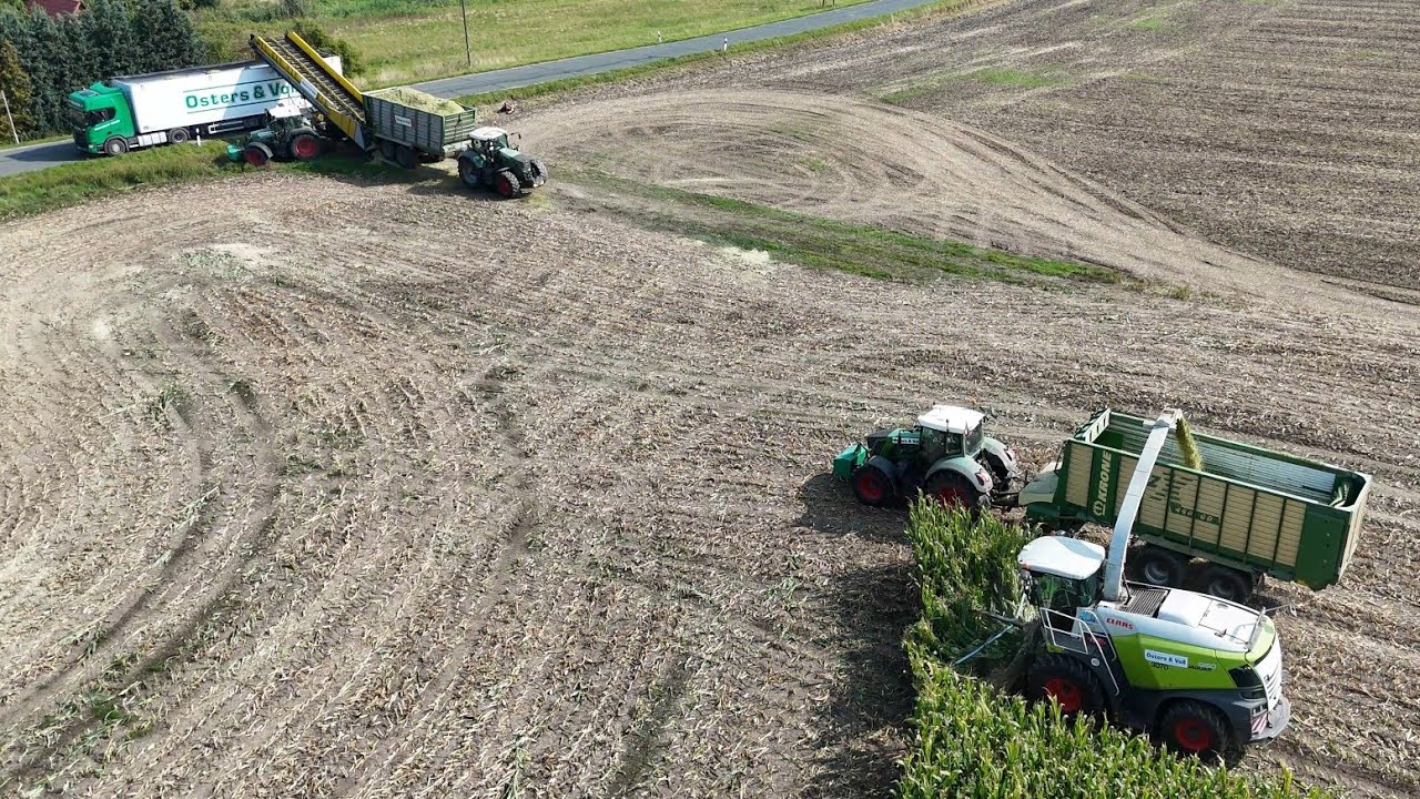 CLAAS JAGUAR 950 beim Mais häckseln & dann verladen auf LKW´s / OSTERS & VOß / 4K