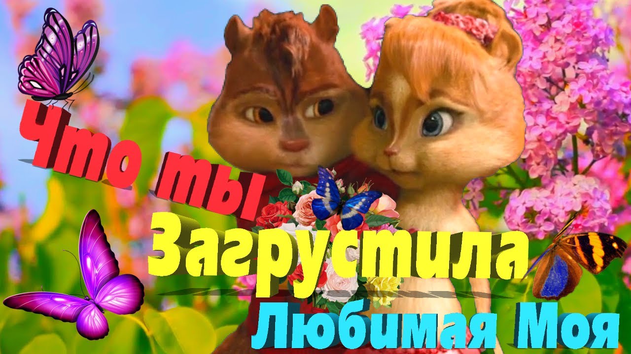 Нет на свете Милая 💋 Таких как ты Любимая ❤ Ну Очень Мило просто слов нет 💞 Бурундучки с Любовью 💋