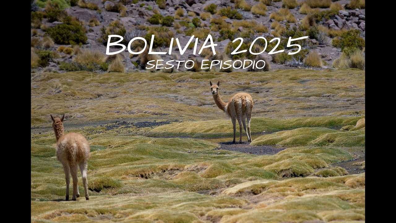 Bolivia sesto episodio