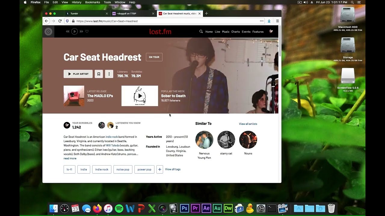 Car Seat Headrest's last.fm page is a massive shitpost