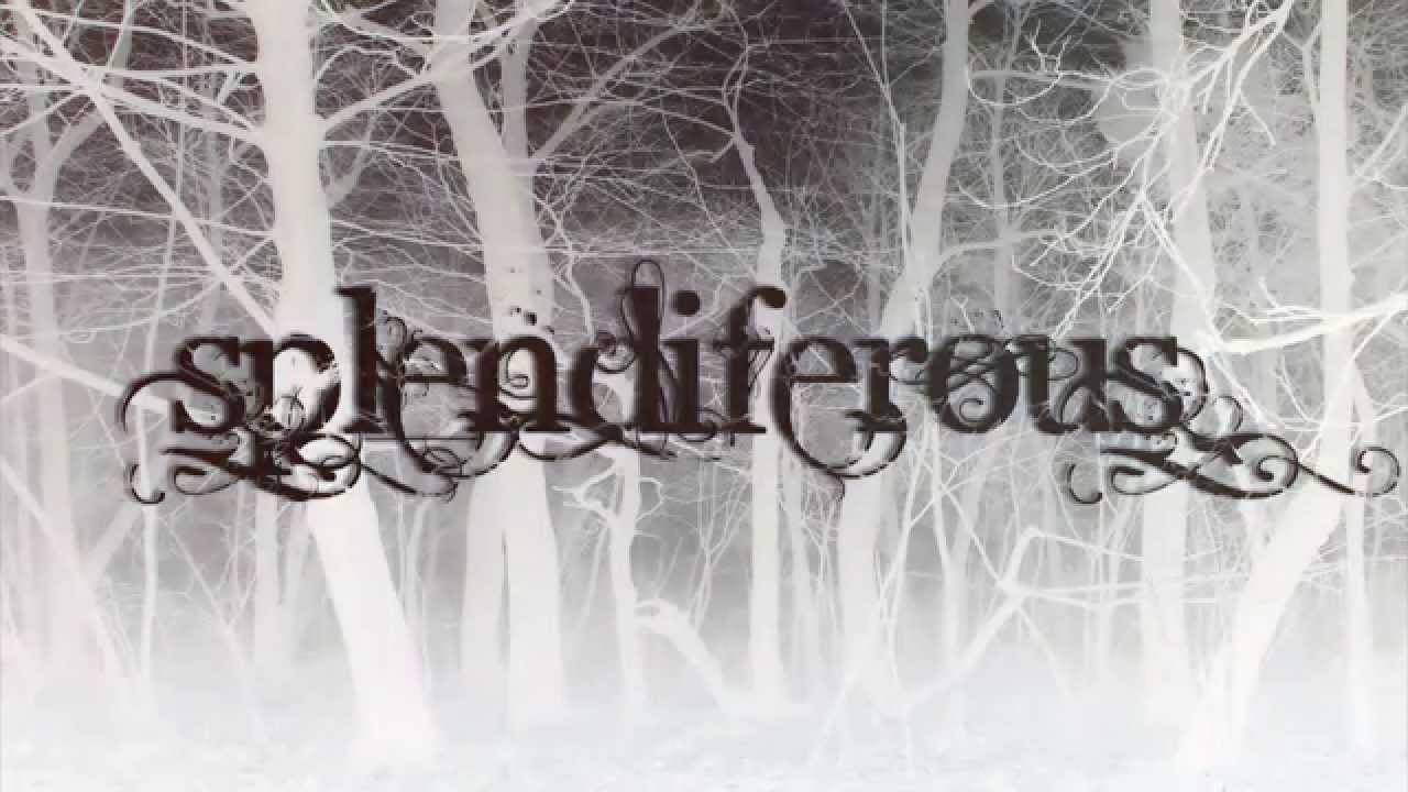 Splendiferous - Assiduity [OFFICIAL AUDIO]