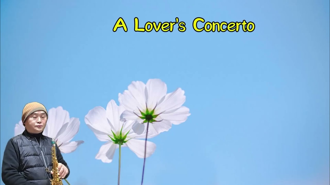 A Lover's Concerto💕 소프라노 색소폰 Old POP, 7080