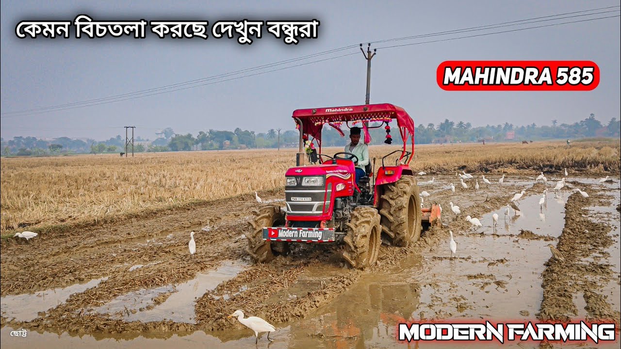 Mahindra yovo tech plus 5854wd tractor Working in the Mud #tractor #tractorvideo#kishan #mahindra 
