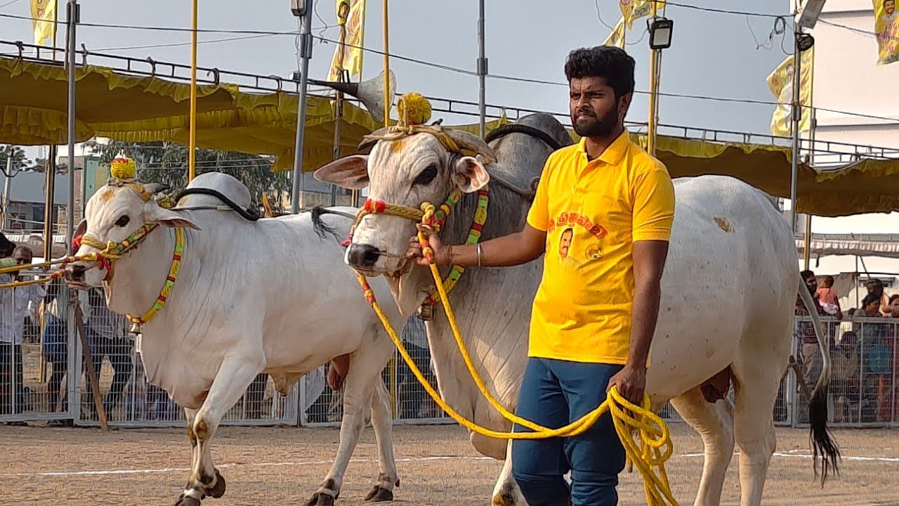 2026-చిలకలూరిపేట.న్వూకేటగిరి.సుఖవాసి సతిష్ బాబు గారు రేపల్లె టౌన్ బాపట్ల జిల్లా