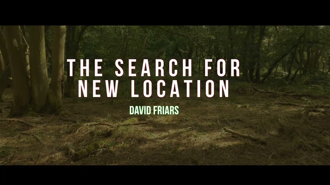 Looking for New location in the woods