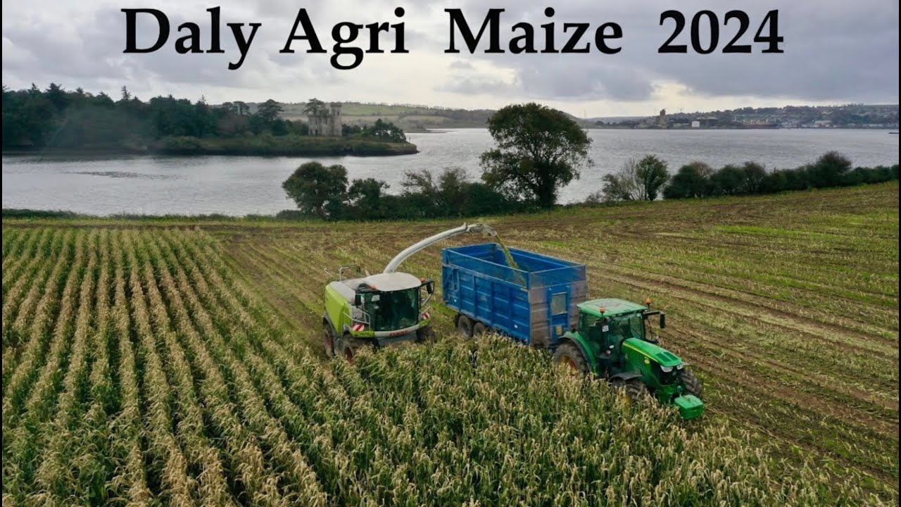 Daly Agri Maize 2024