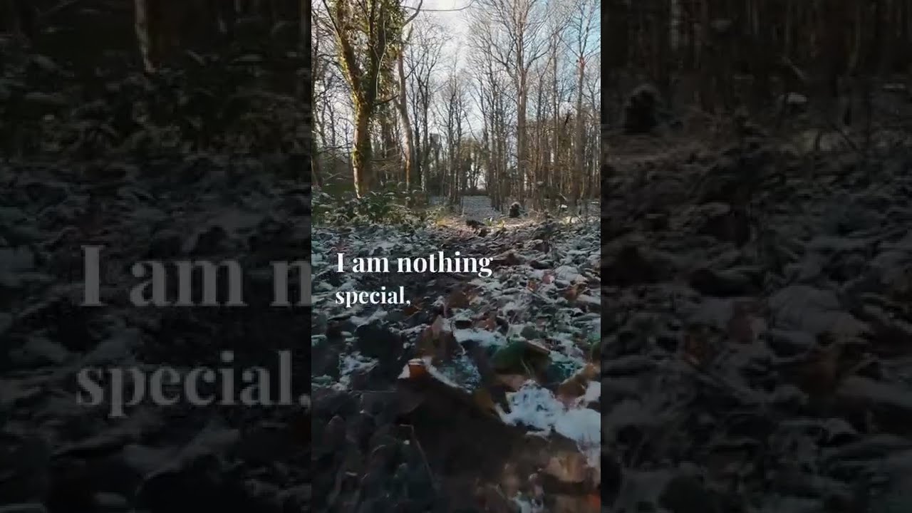 Nicolas Sparks - The Notebook [Quotes, Poetry, Spokenword, Irish Narration]