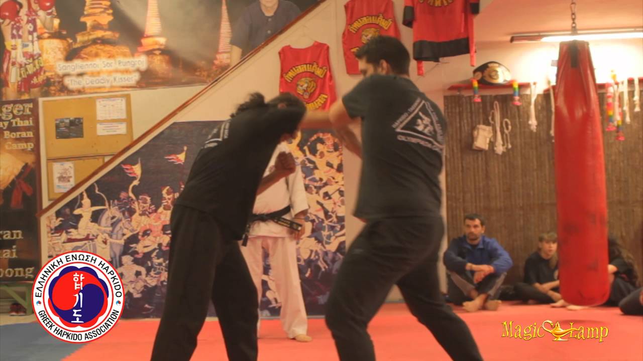 ΕΛΛΗΝΙΚΗ ΕΝΩΣΗ HAPKIDO