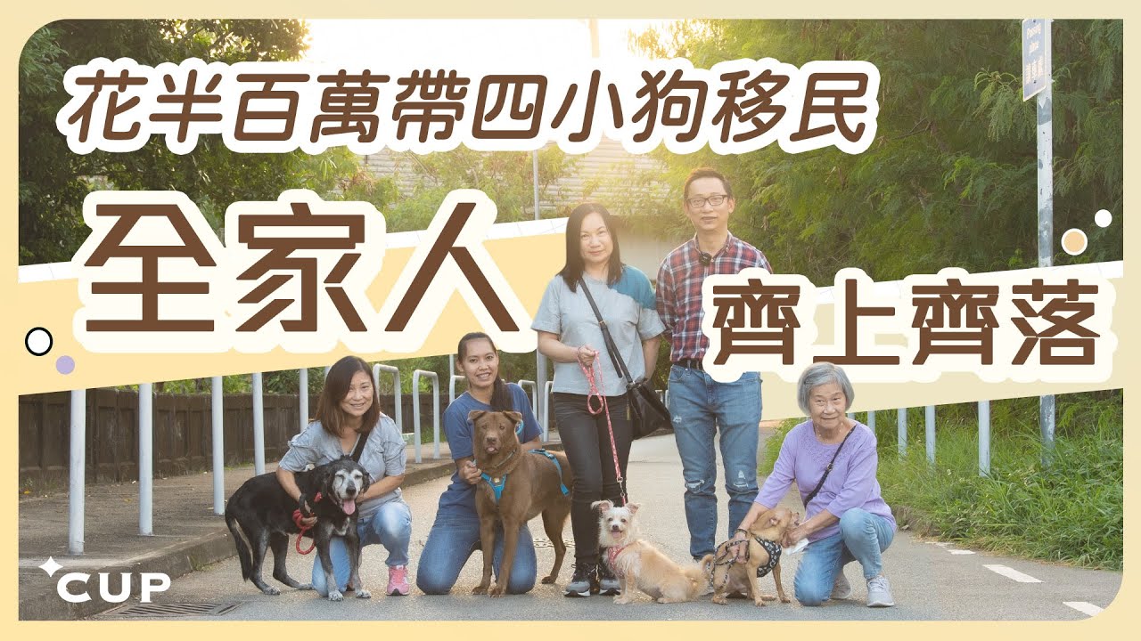 【愛在左右】花半百萬帶四小狗移民 全家人齊上齊落