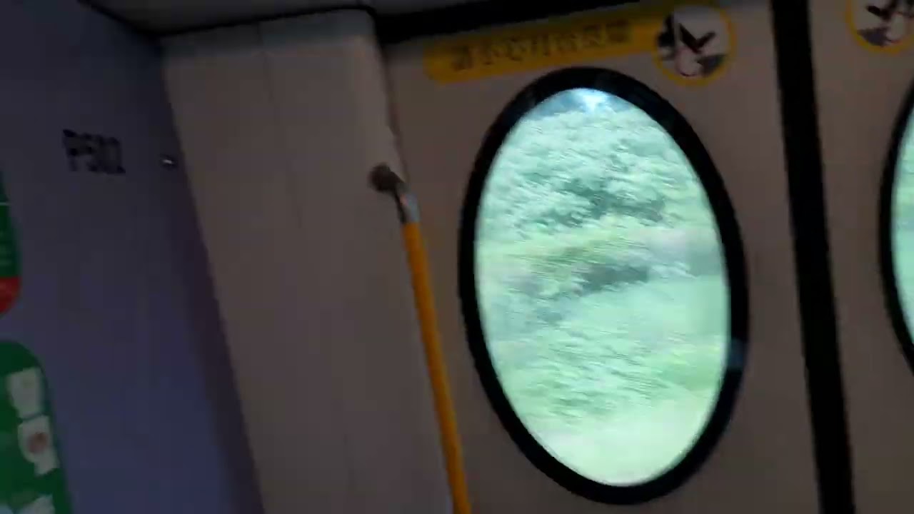 [香港迪士尼樂園20週年派對] 迪士尼綫 M-Train P501/P502 迪士尼至欣澳 Tsum Tsum 加入迪士尼朋友把聲 下次再見