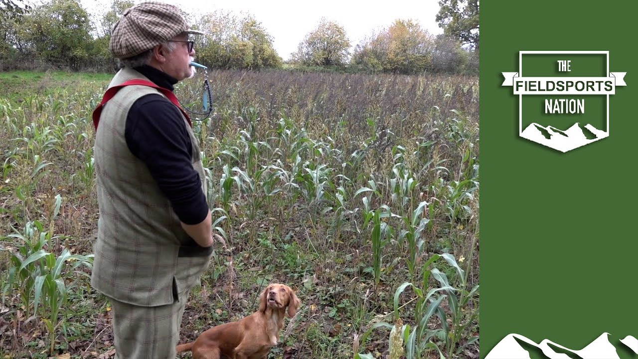 Dog training: how to control yourself