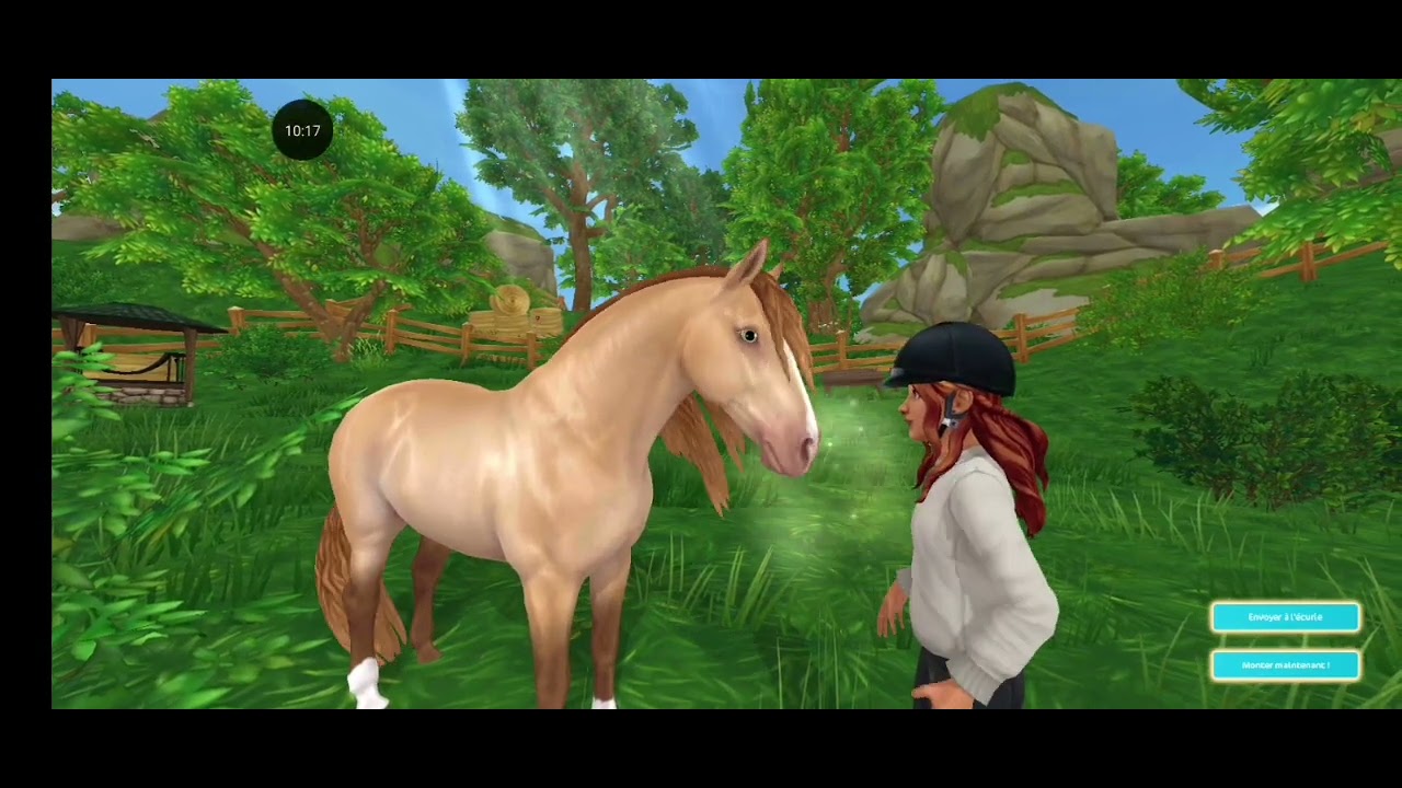 Achat chevaux sso