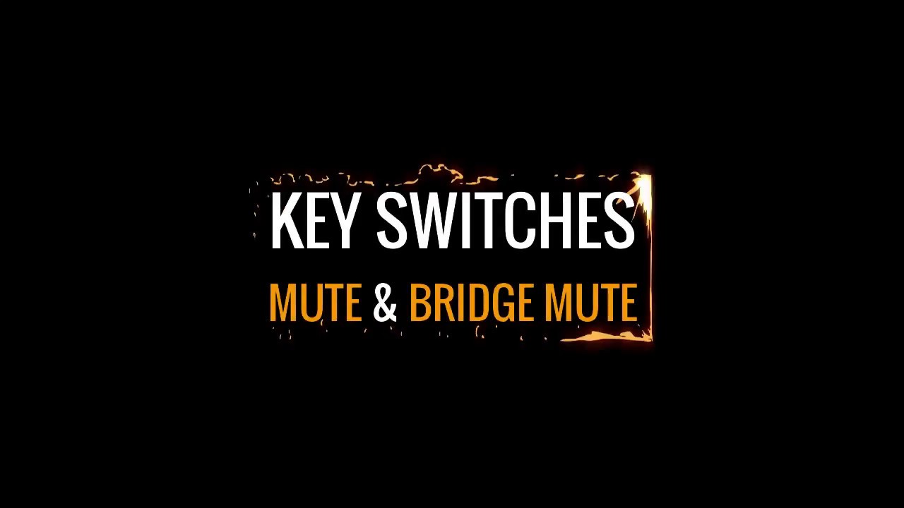 Tutorial. Key Switches. Mute & Bridge Mute