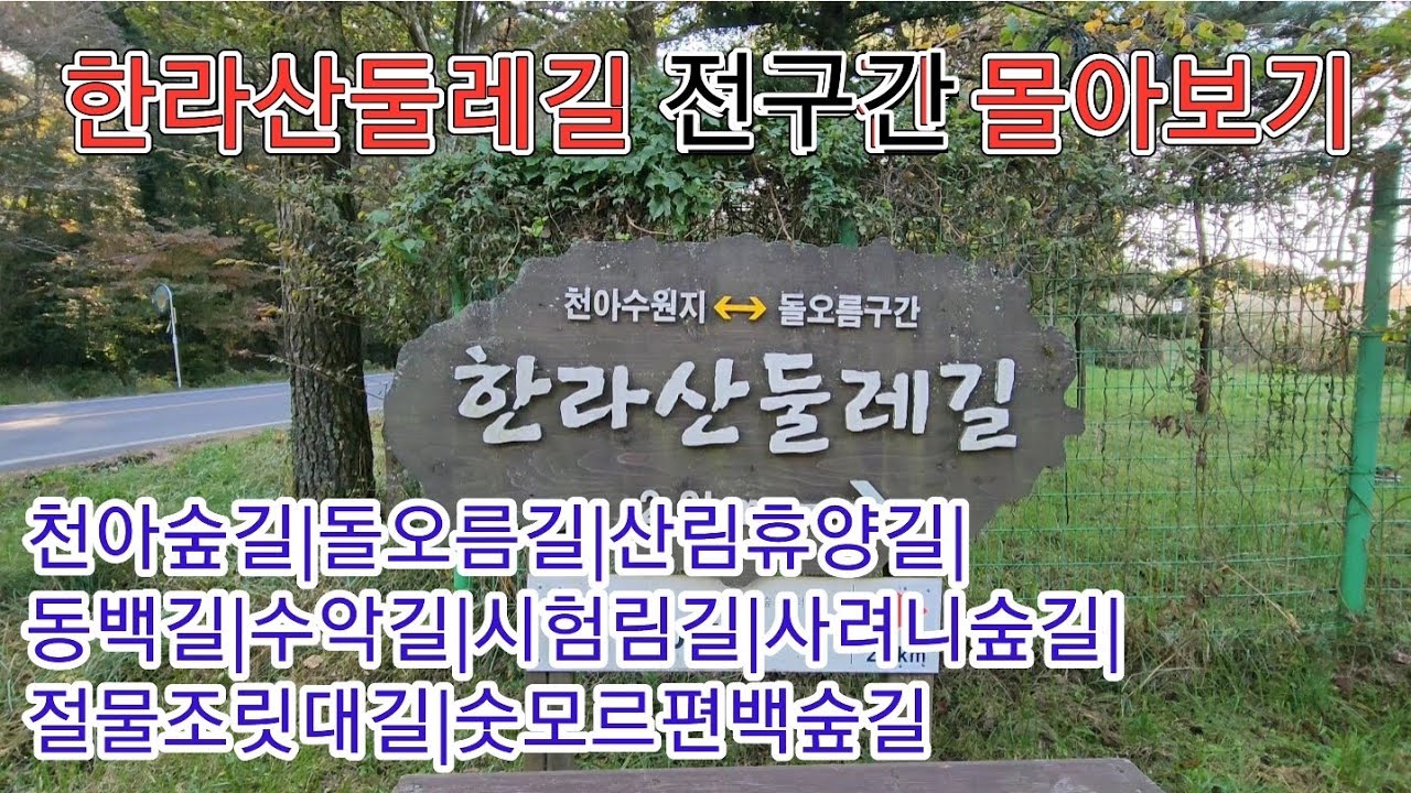한라산둘레길 완주 전구간 몰아보기|1~9구간 3일 73km|천아숲길|돌오름길|산림휴양길|동백길|수악길|시험림길|사려니숲길|절물조릿대길|숫모르편백숲길