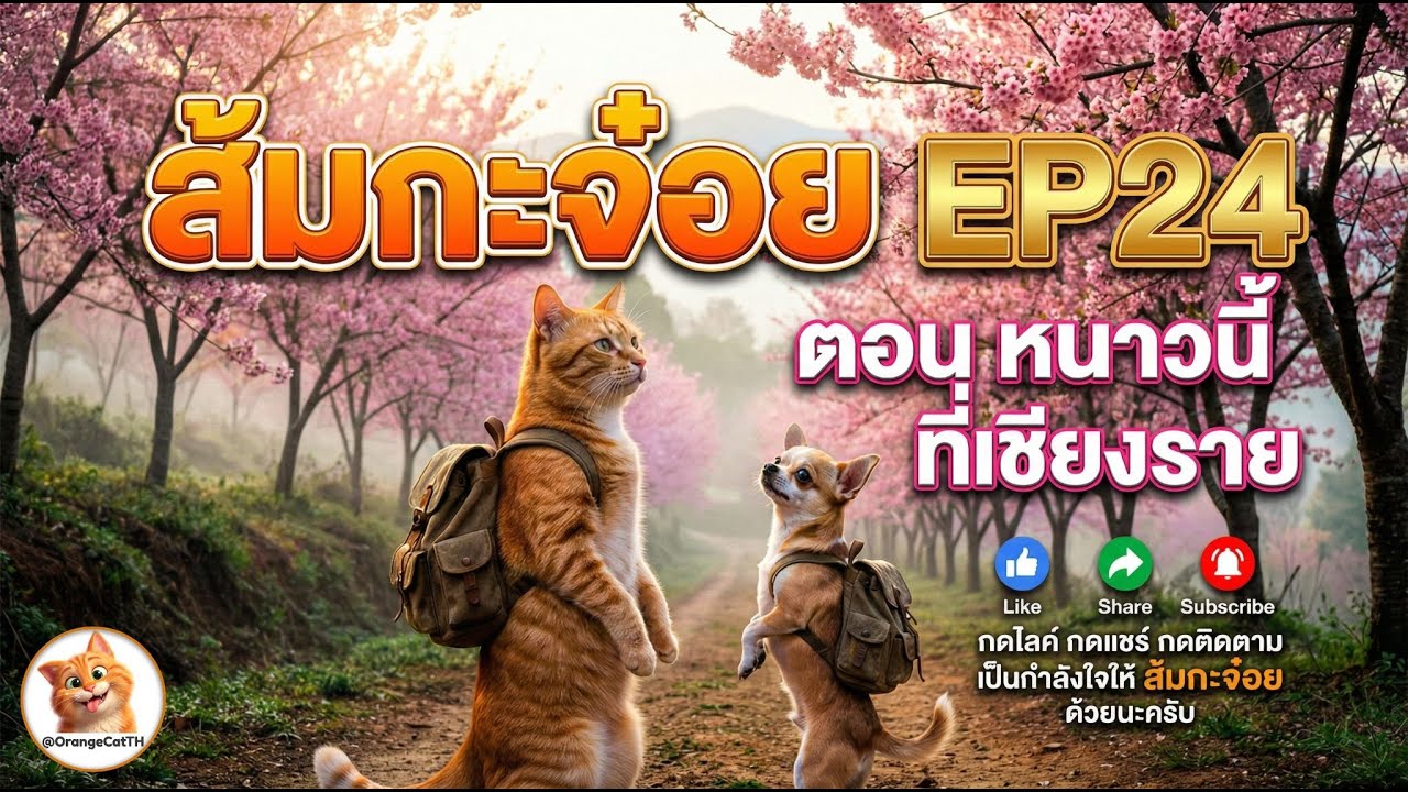 ส้มกะจ๋อย EP24 ตอนพิเศษ หนาวนี้ ที่เชียงราย I ส้มกะจ๋อย แนะนำที่เที่ยว