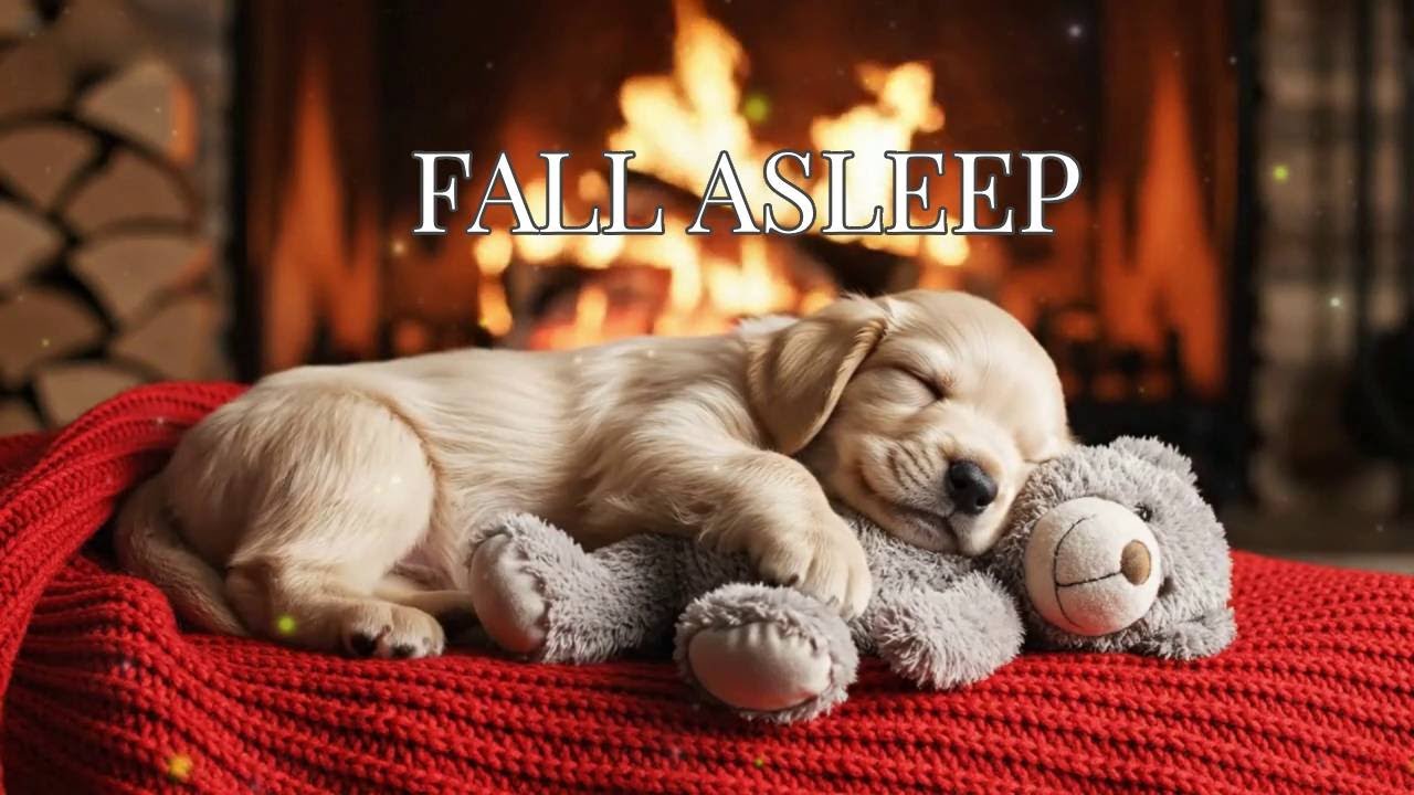 🔴 12 HOURS of Ultimate Comfort: Deepest Sleep Puppy Music & Cozy Fireplace Ambience for Peace 🐾✨