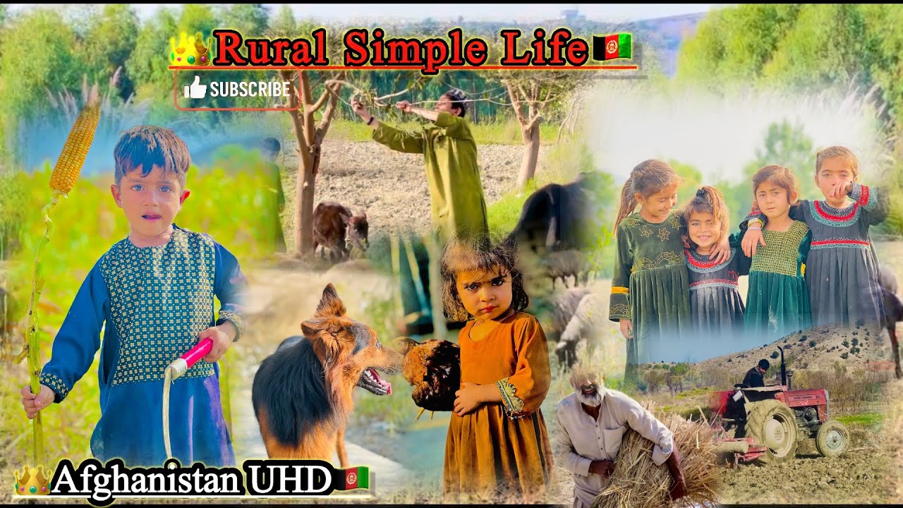 	Traditional Village Life in Afghanistan (Khost/خوست افغانستان 2025