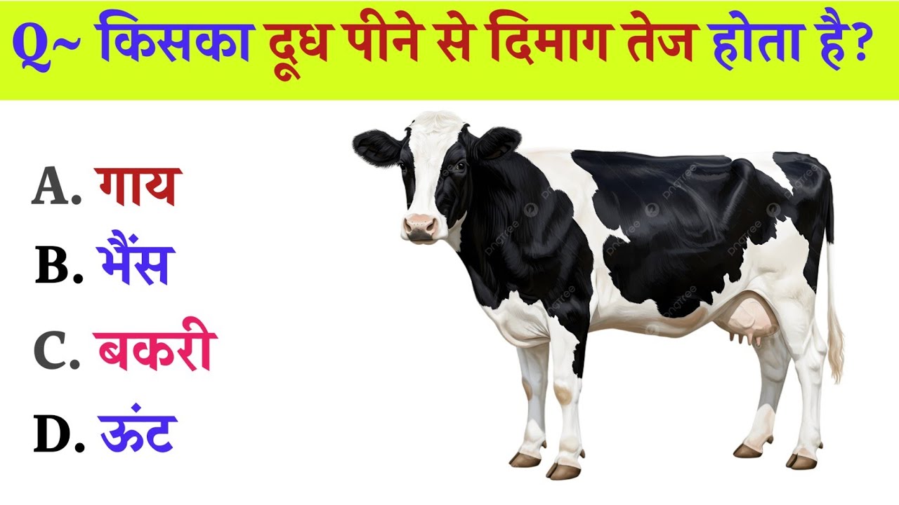 99% Log Iska Jawab Nahi De Paate 😱 | GK Quiz #dailygk 