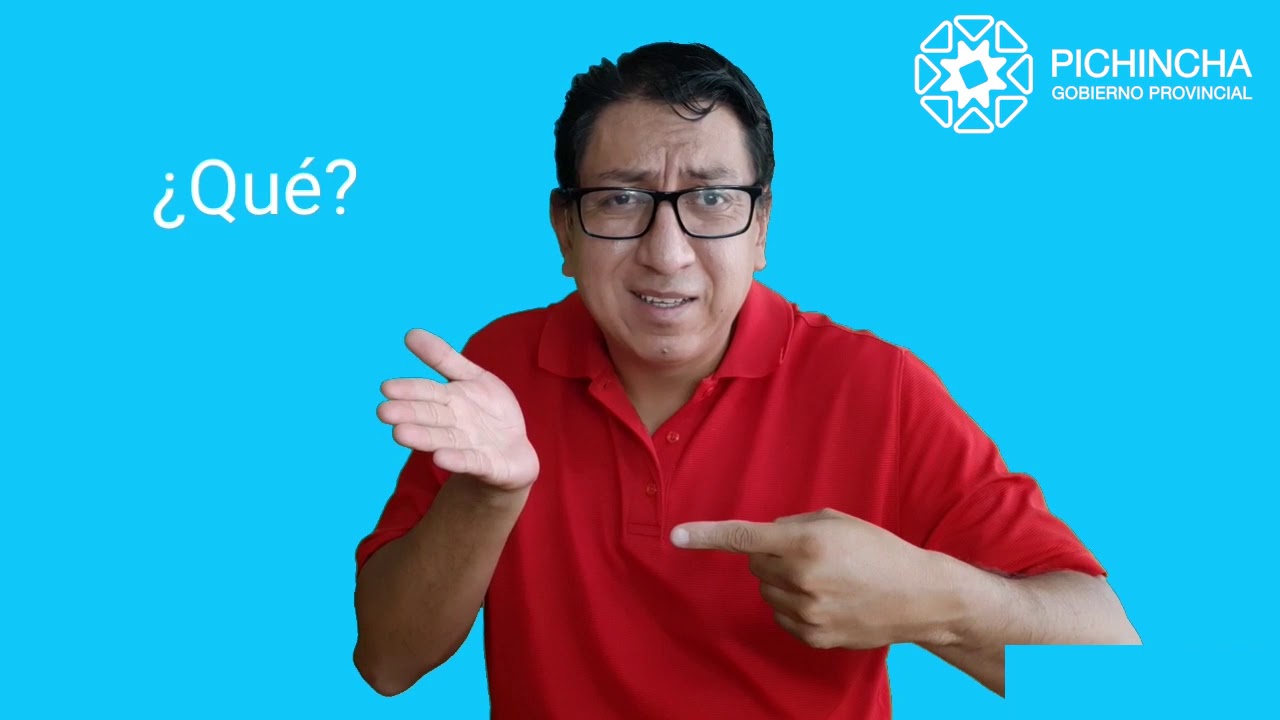 Preguntas LSEC