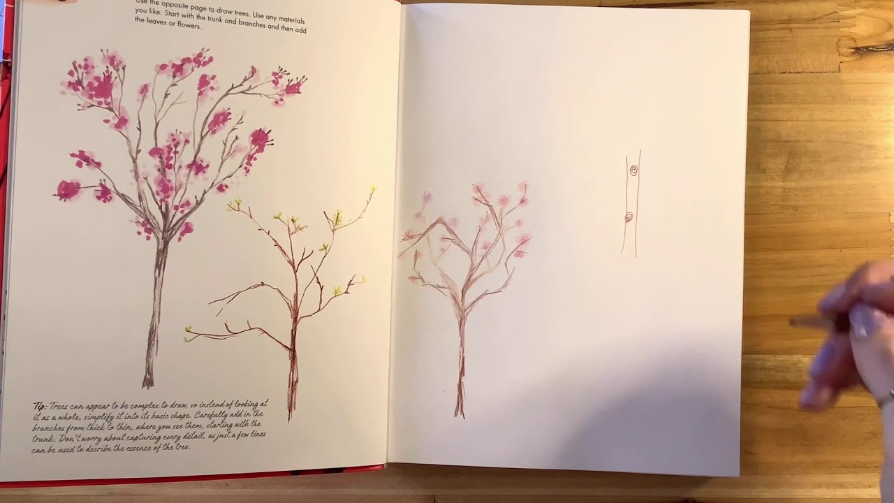 ✏️ Art with Ms. Miller 🖍 365 Days of Drawing: Trees 🌳 🌲