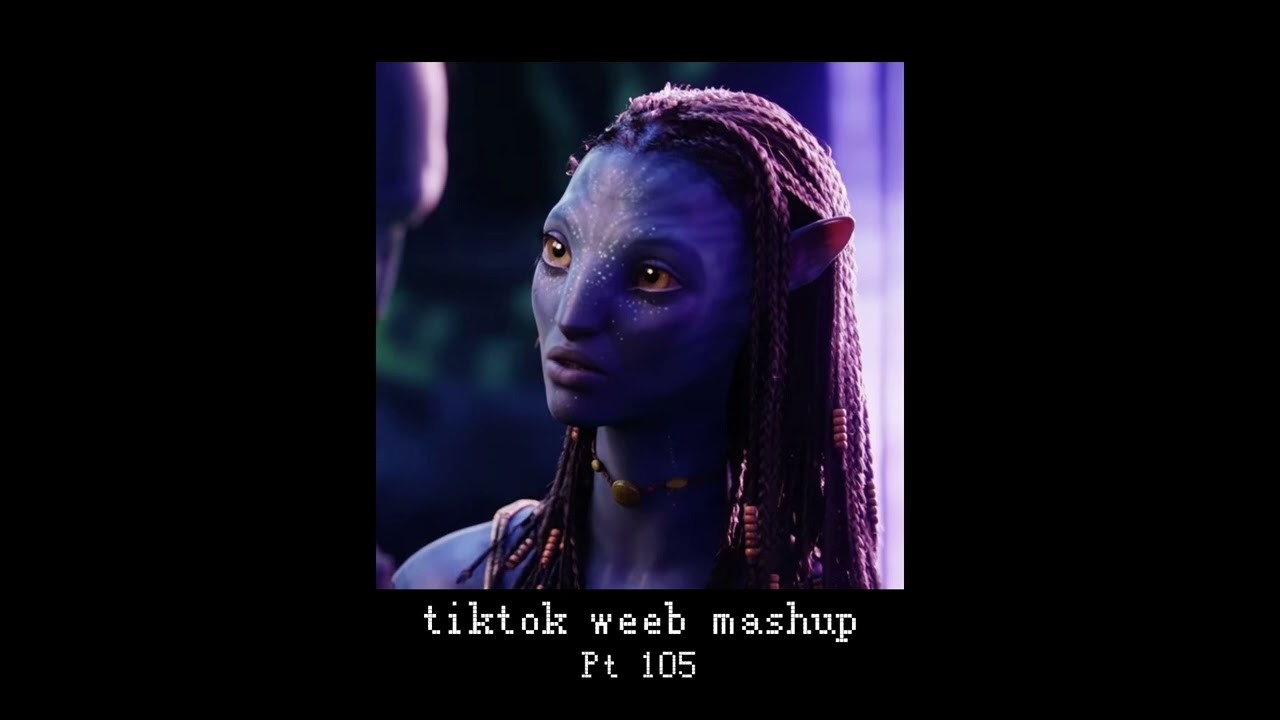 tiktok weeb mashup 105 (36 songs)