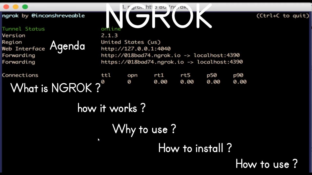 NGROK Complete Introduction, Setup Installation and Configuration | NGROK Tunnelling | HackNikal