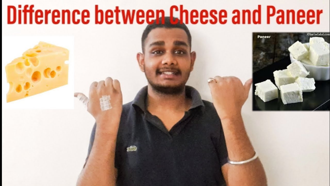 Difference between Cheese and Paneer | Explained