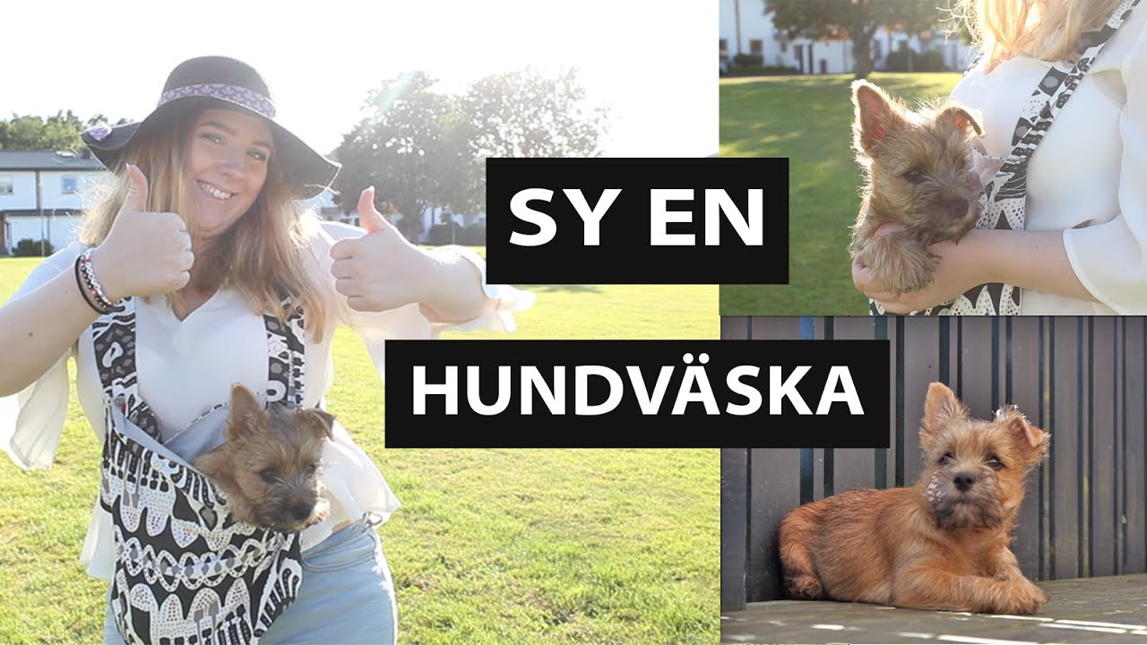 DIY: SY EN HUNDVÄSKA! Perfekt för små valpar!