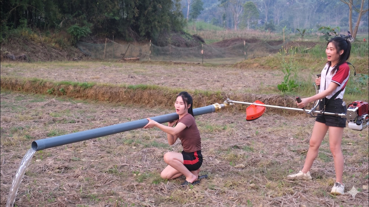 No Need for Expensive Pumps – They Created an Incredibly Unique Water Delivery Solution! #diy 