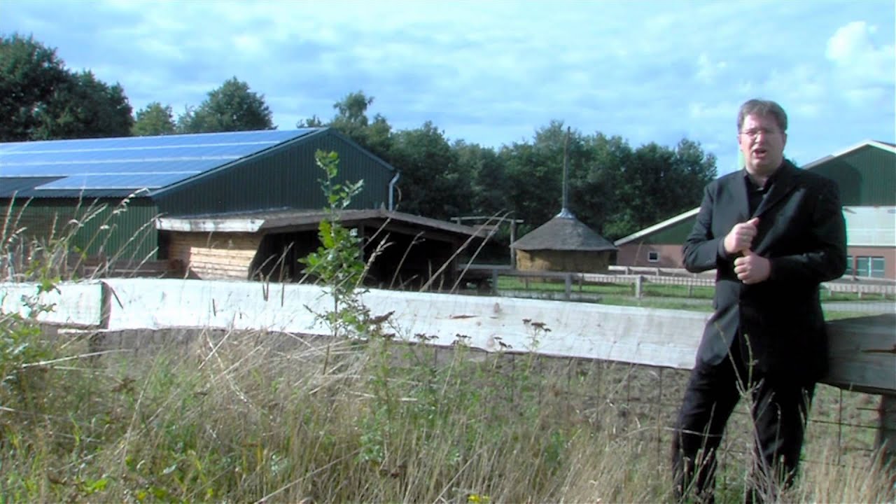 Varkenshouderij Stegink | Piggy's Palace