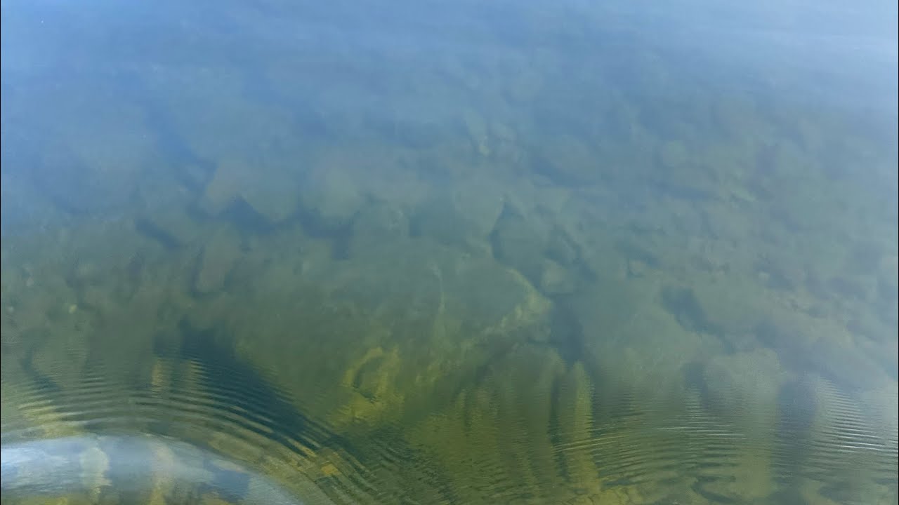 Underwater Drone Footage Cold Stream Pond Around the Island