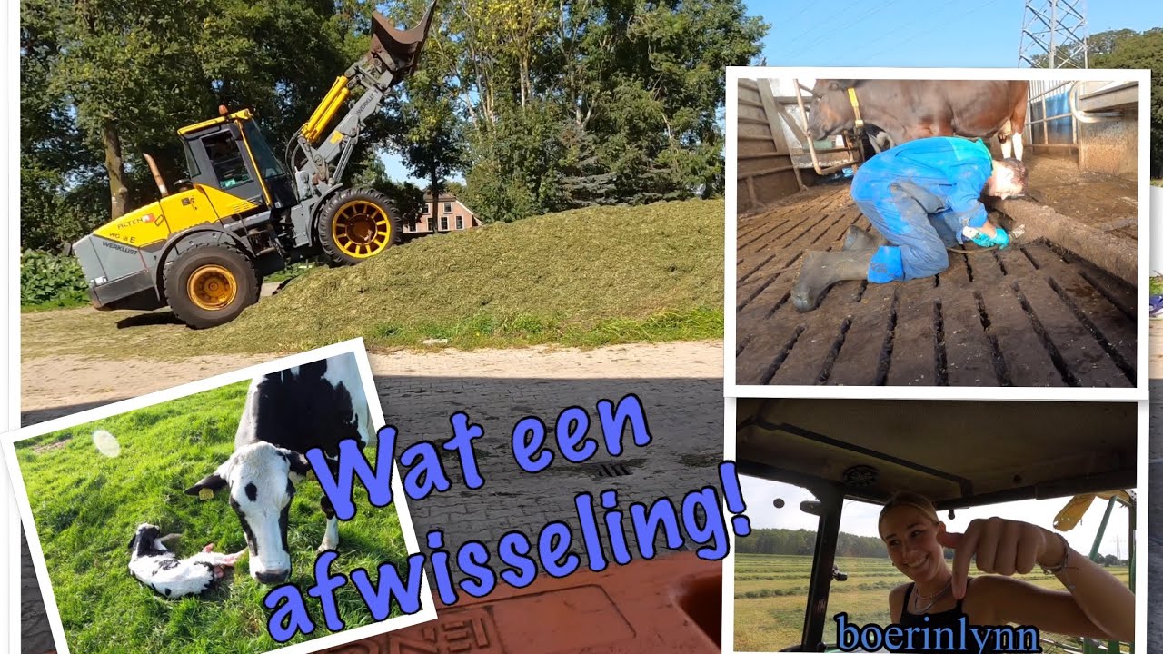 1001 dingen in 1 week