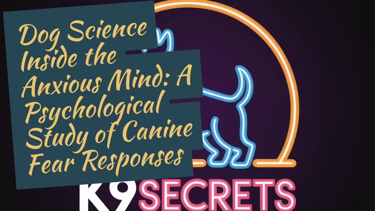 Inside the Anxious Mind: A Psychological Study of Canine Fear Responses