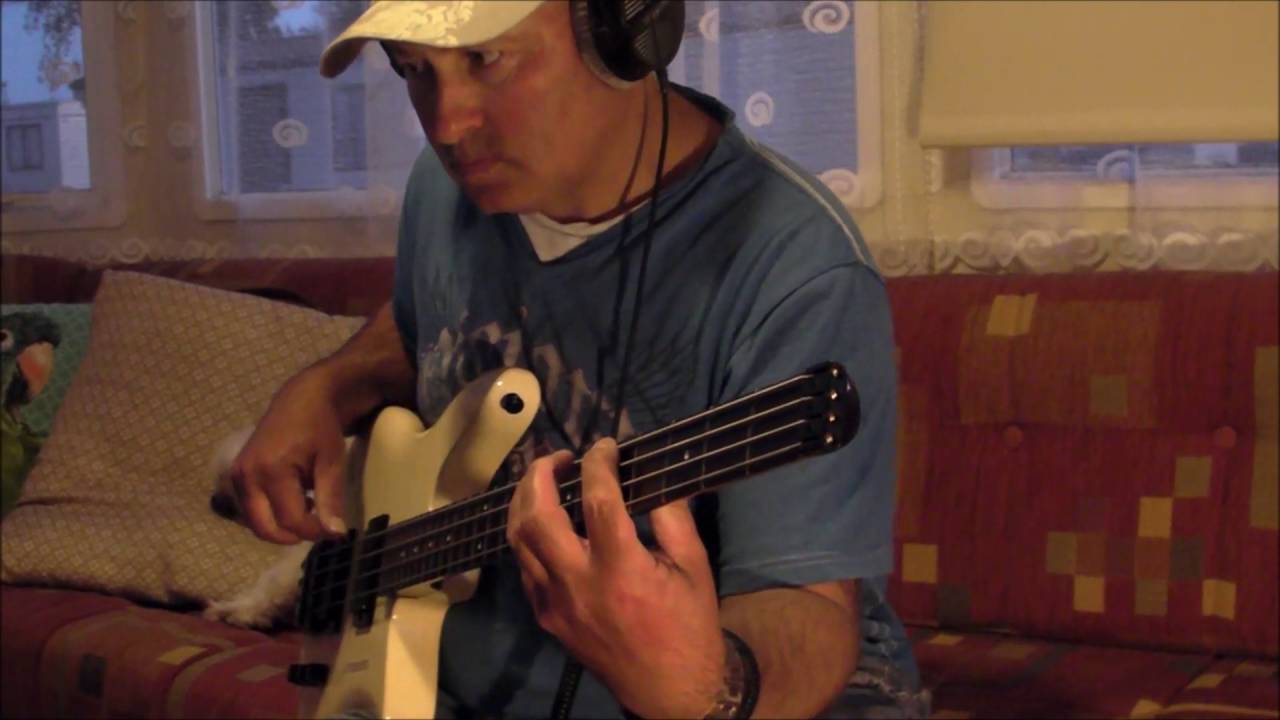 You Gave Me a Mountain   Elvis  Jerry Scheff Style