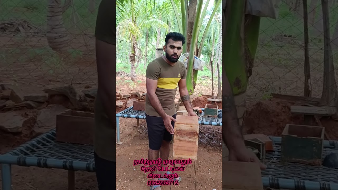 🐝காலி தேனீ பெட்டி குறைந்த விலையில் கிடைக்கும்🐝 empty bee box low price 🐝#kamalahoneybeefarm#