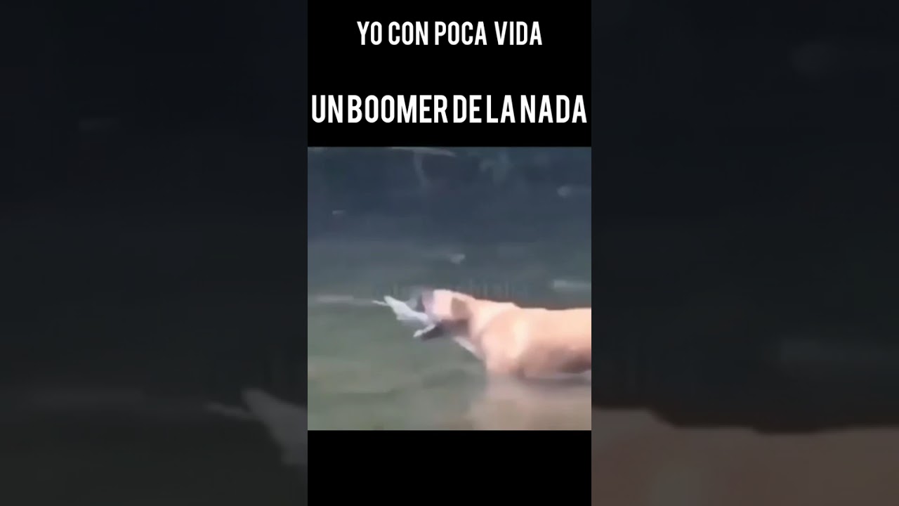 #memes #left4dead #humor #left4dead2 #parati
