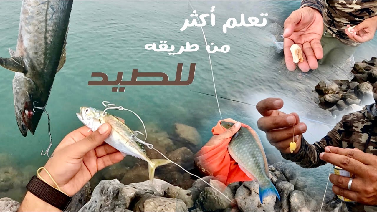 طرق متنوعه للصيد .. رحلتي إلى جيزان مع الشباب