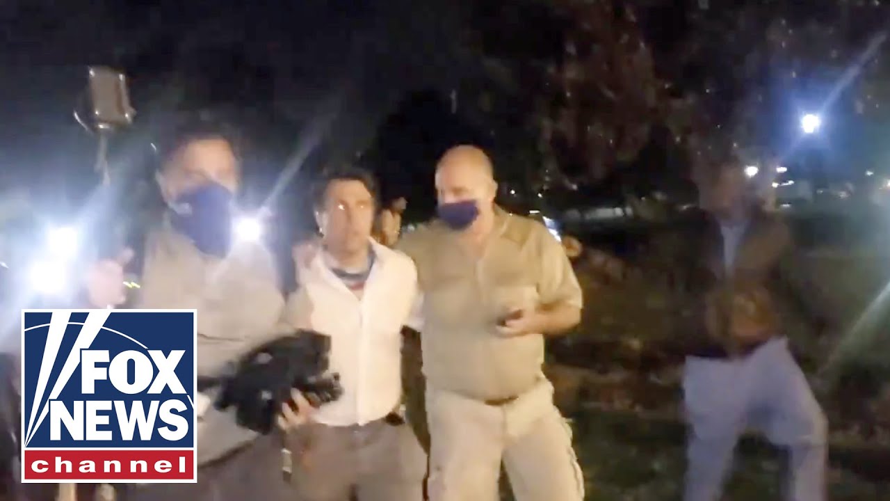 Fox News reporter attacked by protesters: A mob targeted us